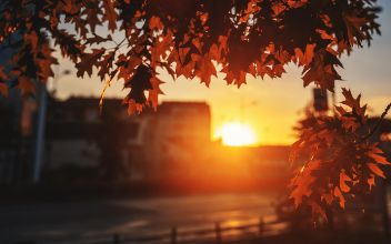 Autumn city landscape during sunset