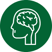 Brain icon