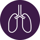 icono de pulmones