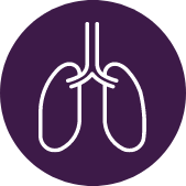 lungs icon