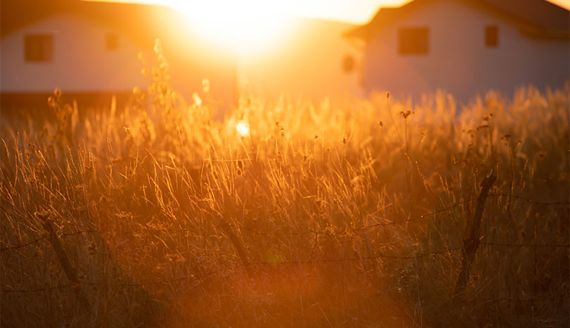 Modern house exterior on fields during sunset