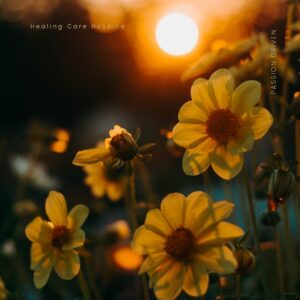 Ten flowers landscape during sunset